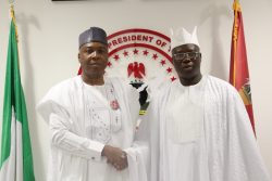 Saraki receives Gani Adams 