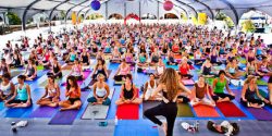 Yoga festival