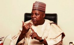 Governor Kashim Shettima