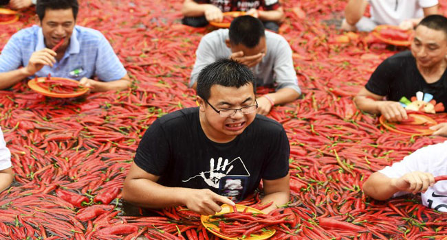 Chilli Pepper Festival