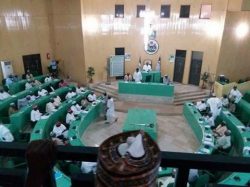 Kano Assembly