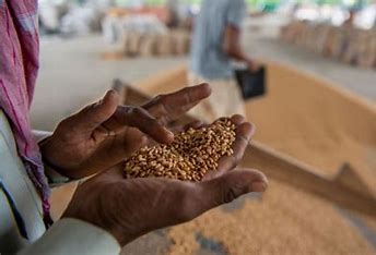 Nigeria strikes key deal with Belgium to tackle food crisis