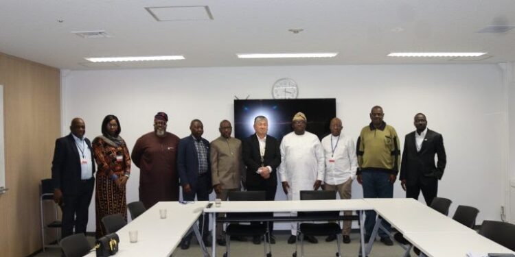 Nigeria seeks Japan’s financial aid for $750M rural electrification drive