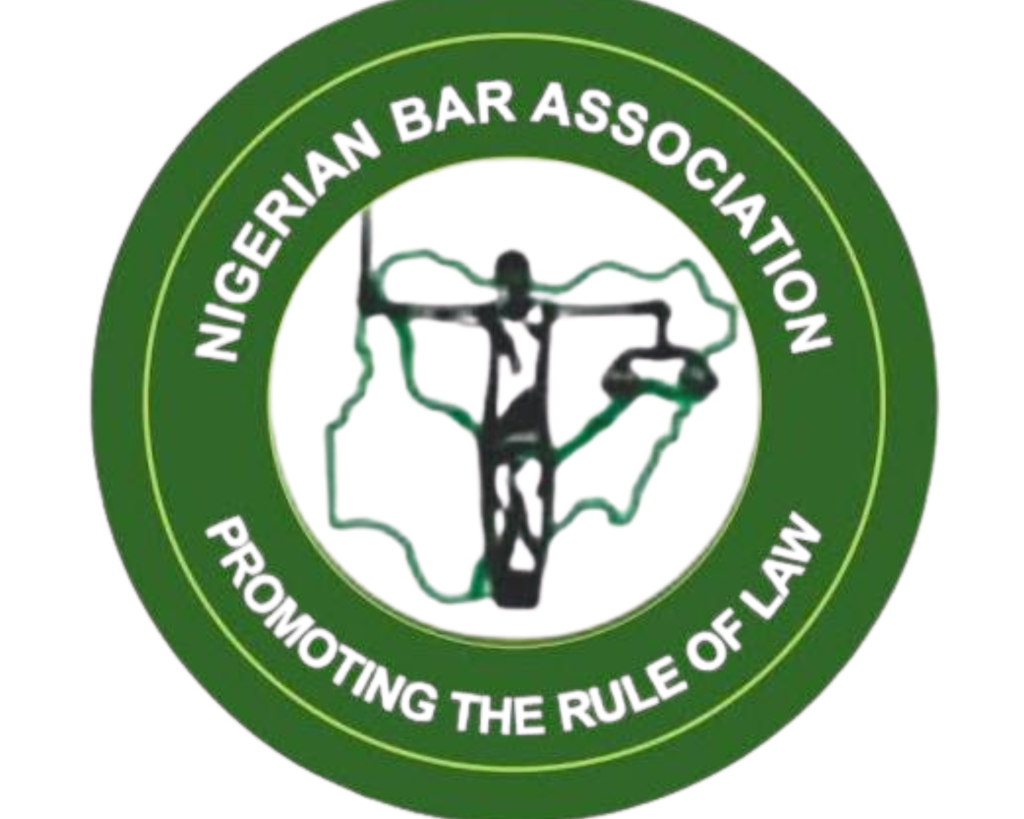 The Nigerian Bar Association (NBA) has condemned the alleged Kano court order compelling TikTok creators Idris Mai Wushirya and Basira