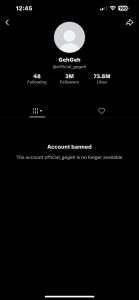 TikTok bans geh geh