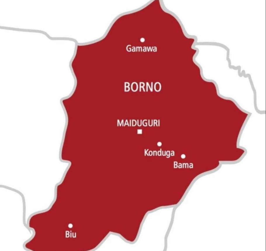 Borno suicide bomber kills five, including soldiers, at a military checkpoint in Pulka town, Gwoza LGA. Residents call for stronger security as fears of insurgent attacks rise.