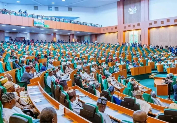 Failure to submit agriculture IGR will stall 2026 budget defence – Reps committee