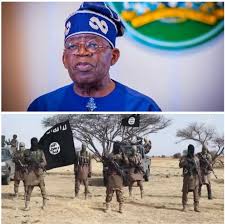 Boko Haram ‘significantly degraded’