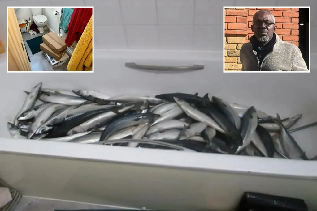 Ghanaian storing fish in toilet